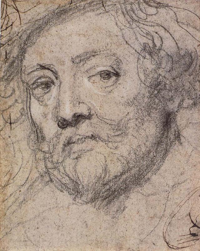 Peter Paul Rubens Self-Portrait France oil painting art